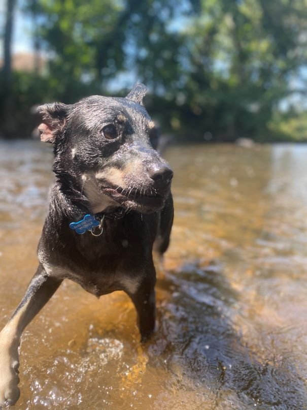 Athena in her element Athena